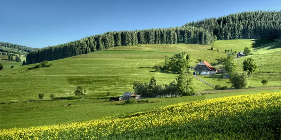 Wygodne krzesła na wesele: Klucz do udanej i komfortowej zabawy