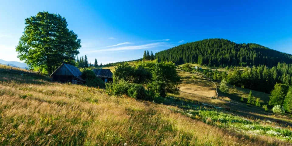 Wyposażenie techniczne: kuchenne instalacje, wentylacja, klimatyzacja i chłodnictwo